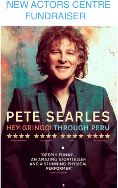 Fundraiser- Peter Searles Solo Show